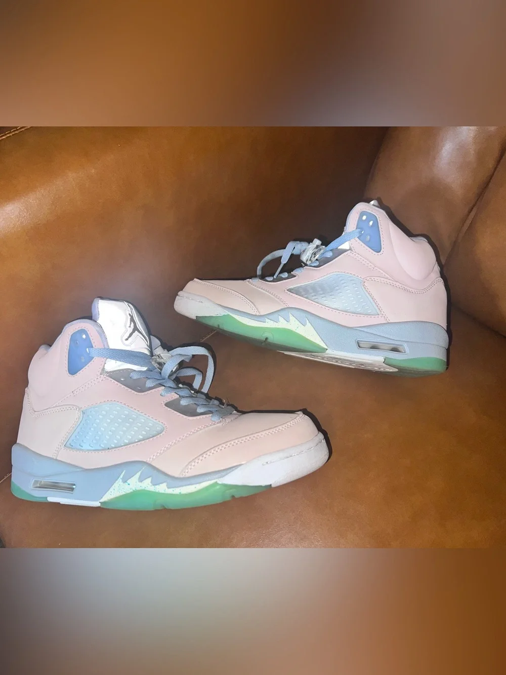 Nike Air Jordan 5 Retro SE 